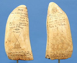 Scrimshaw1